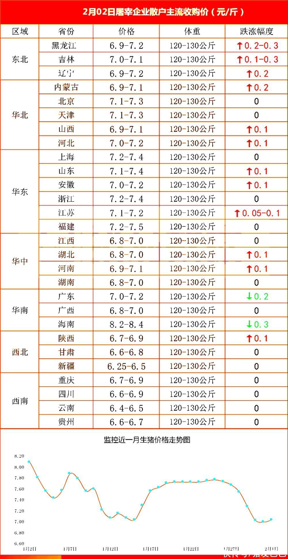 山东今日生猪价格最新动态