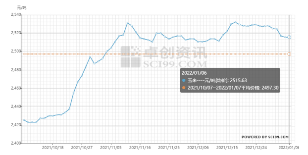 今日玉米价格走势分析，最新动态与趋势展望