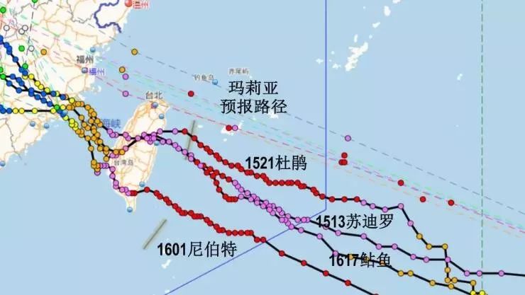 温州台风最新路径，台风动态及应对指南