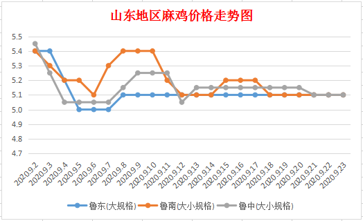 山东麻鸡价格最新行情解析