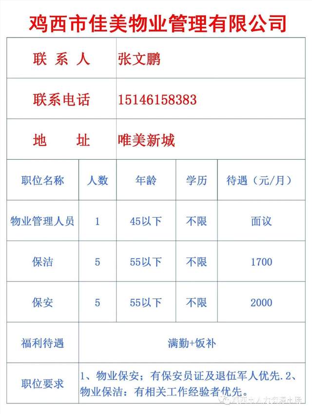 鸡西招聘网最新招聘动态深度解读与分析