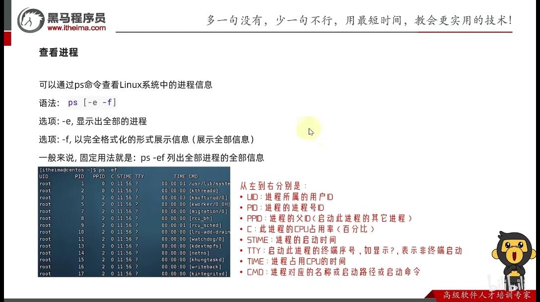 新奥资料免费精准新奥肖卡,数据引导策略解析_Linux21.540