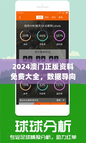 4949澳门免费精准大全,全局性策略实施协调_pro70.137