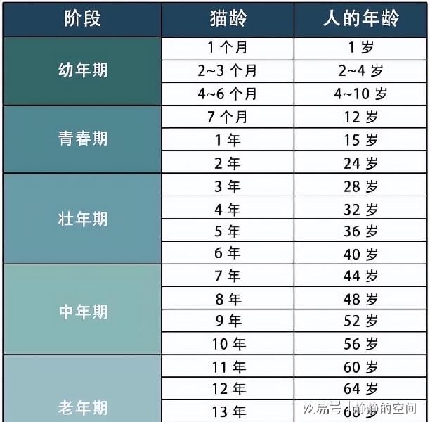 最新年龄划分，重新定义人生阶段的里程碑