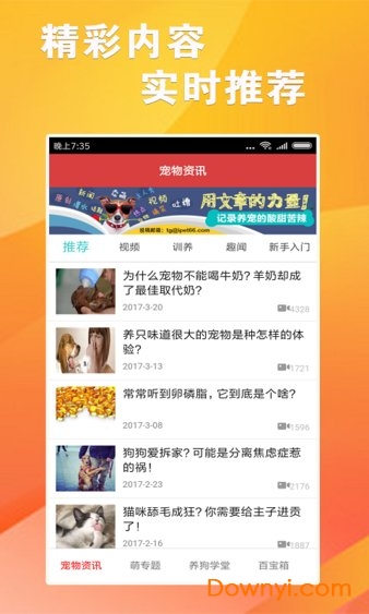 最新跑狗图，运动魅力与背后故事探索