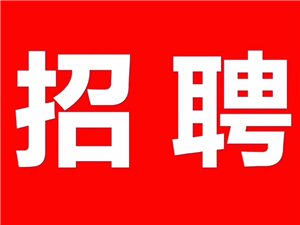 高州招聘网最新招聘动态全面解析