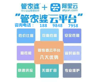 7777788888精准管家婆,稳定性方案解析_N版93.294