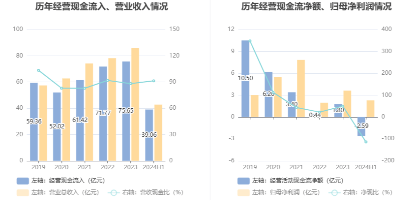 2024天天好彩,调整方案执行细节_粉丝款91.33