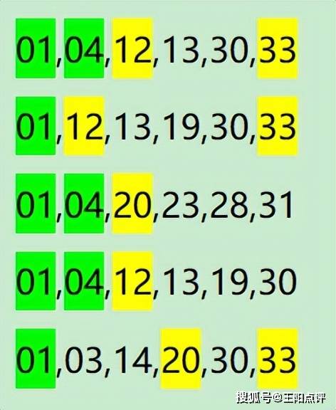 最准一肖一码100,实地分析数据方案_精装版30.492