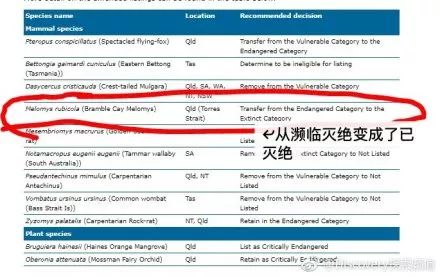 新澳今天最新资料网站,定制化执行方案分析_冒险款23.759