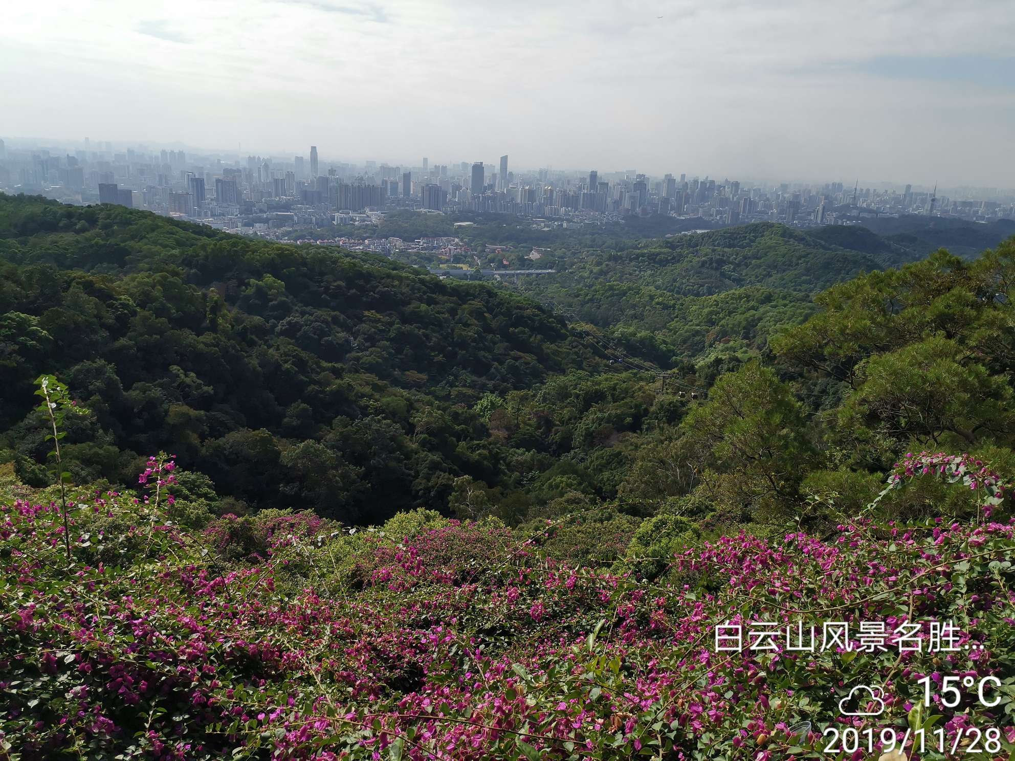 风中雨荷 第5页