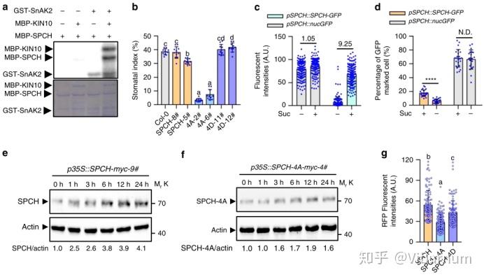 澳门最准最快免费资料,结构化推进评估_8K83.858