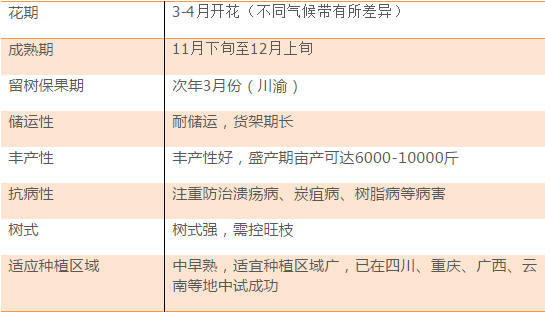 新澳天天开六中准资料,实地说明解析_VIP71.886