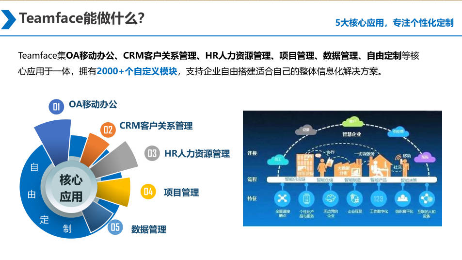 新澳内部一码精准公开,快速设计问题计划_AP48.271