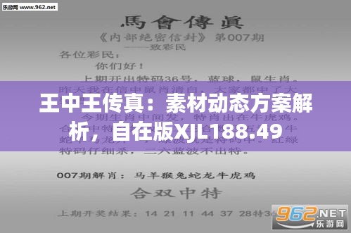 777778888王中王最新,诠释说明解析_SHD78.604