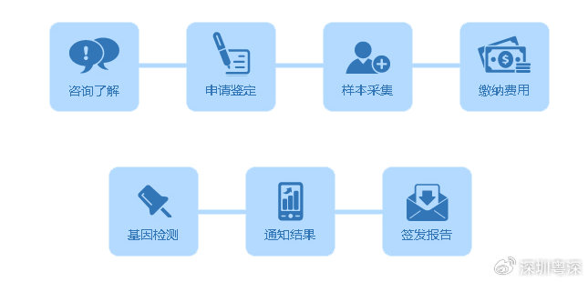 一肖一码一一肖一子深圳,实地验证方案策略_X版42.837