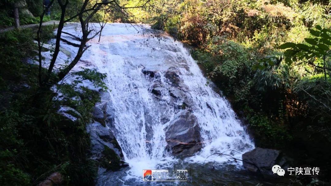 几叶风兼雨 第4页