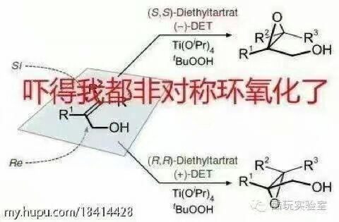 王孟源最新文章概览，现代社会的多元视角深度探讨