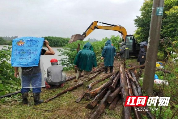 益阳防汛最新情况更新报告