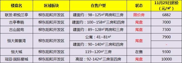 2024年12月3日 第25页