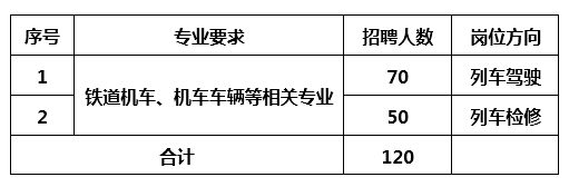 宁波驾驶员招聘最新动态，行业趋势与求职指南