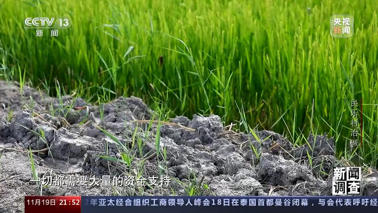 嫩江新闻最新动态概览