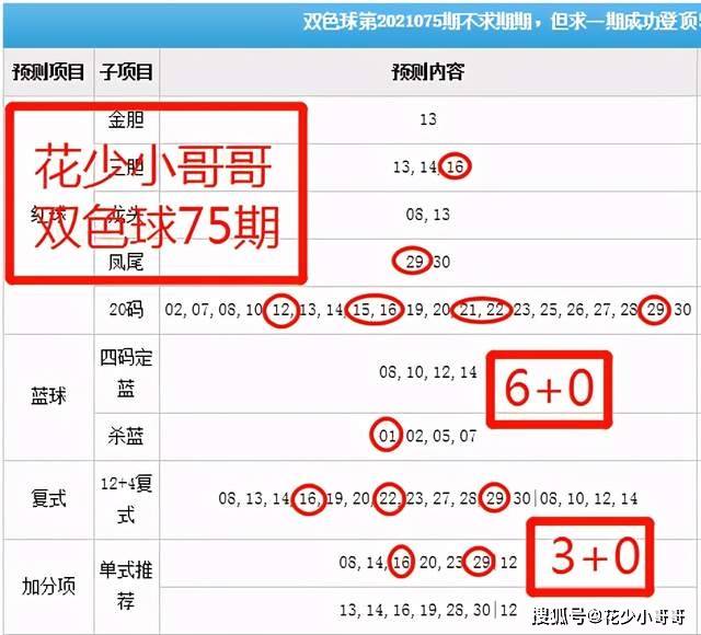 白小姐今晚特马期期准六,快速解析响应策略_pack29.876