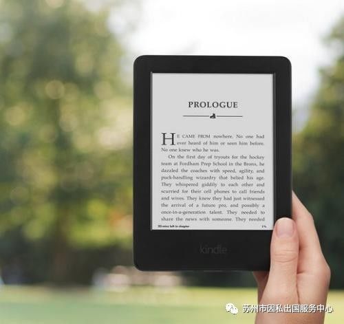 新澳2024正版资料免费公开,实地评估说明_Kindle68.104