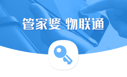 管家婆资料精准一句真言,高效性实施计划解析_尊享款31.312