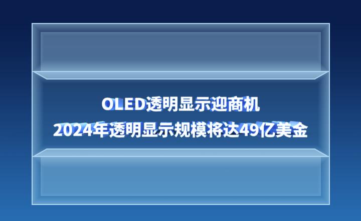 2024十二生肖49码表,实用性执行策略讲解_超值版23.18