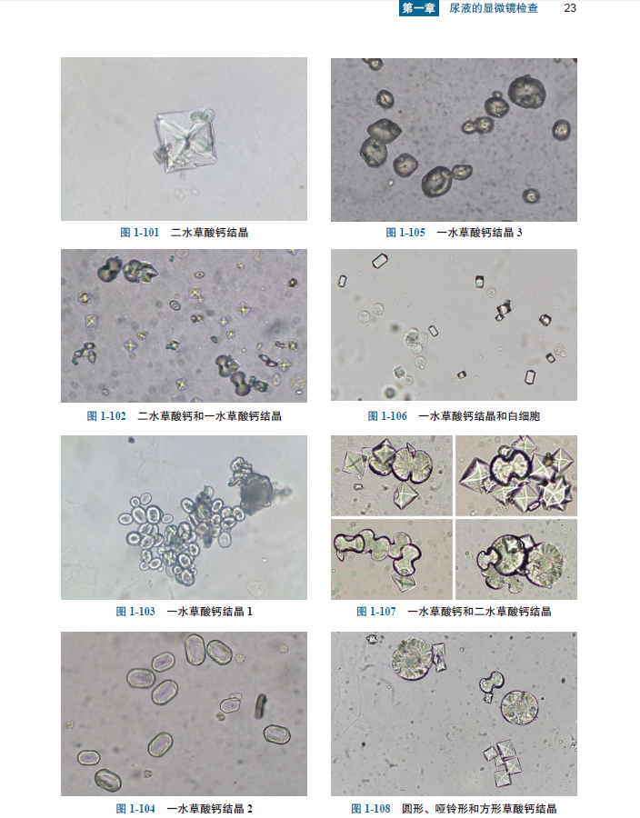 澳门精准的资料大全192集,科学评估解析说明_Notebook28.187