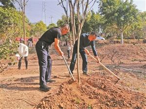 新平彝族傣族自治县农业农村局推动农业现代化助力乡村振兴项目启动