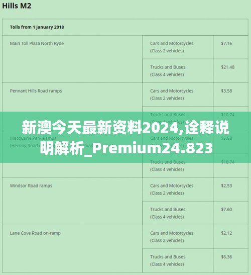 2024新澳最准最快资料,时代资料解释落实_SE版29.385