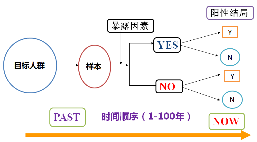 2024年天天开好彩资料,实际解析数据_标准版90.706