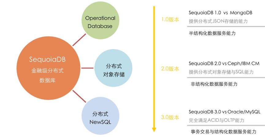 新澳门内部资料精准大全百晓生,深层数据策略设计_pro29.413