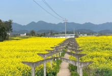 过马营镇天气预报更新通知