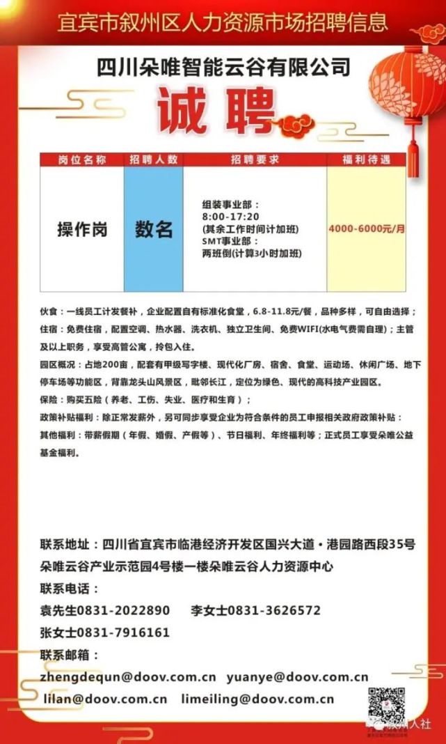 红彦镇最新招聘信息详解及解读