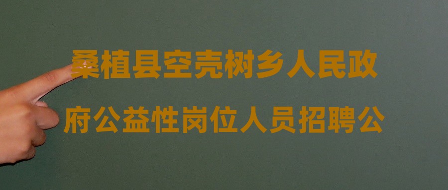 空壳树乡最新招聘信息全面解析