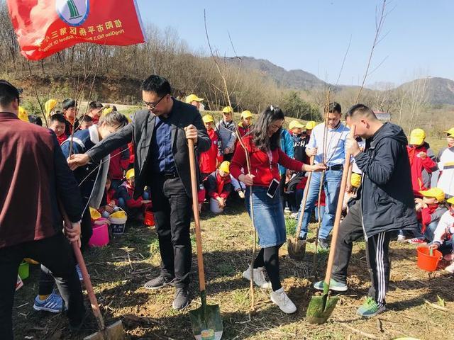 平桥区小学最新动态报道