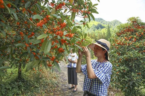 安地镇新领导引领开启发展新篇章