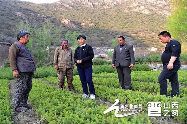 雄湾村委会领导团队全新亮相，未来工作展望与蓝图揭秘