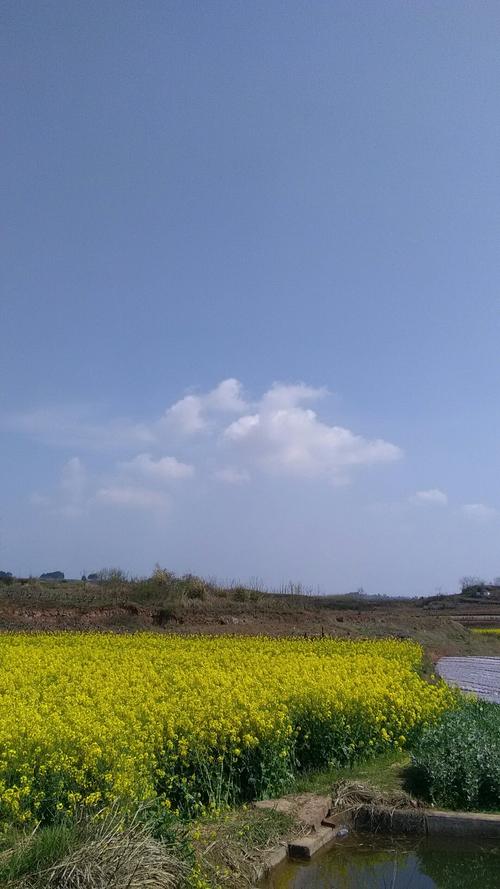 敬梓镇天气预报更新通知