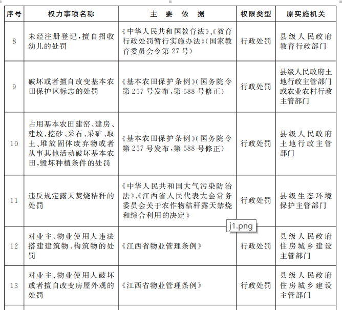 临川区人民政府办公室最新发展规划概览