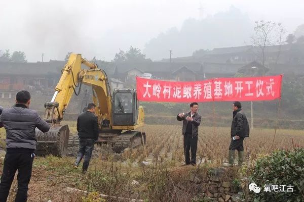 马棚镇最新项目，地区发展的强大引擎驱动力