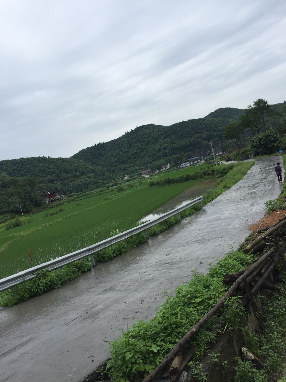 扎塘村天气预报更新通知