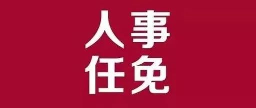 兴山区审计局人事任命，开启审计事业新篇章