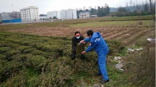 鹤峰县防疫检疫站最新动态报道