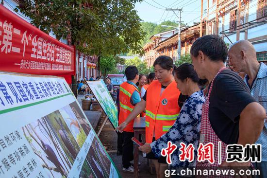 青龙满族自治县殡葬事业单位项目进展与未来前瞻