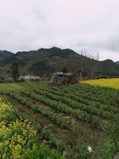 田江乡天气预报更新通知