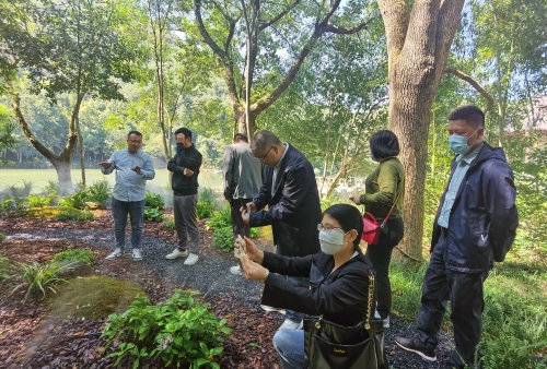 衢州市园林管理局推动城市绿化进程，打造宜居绿色家园